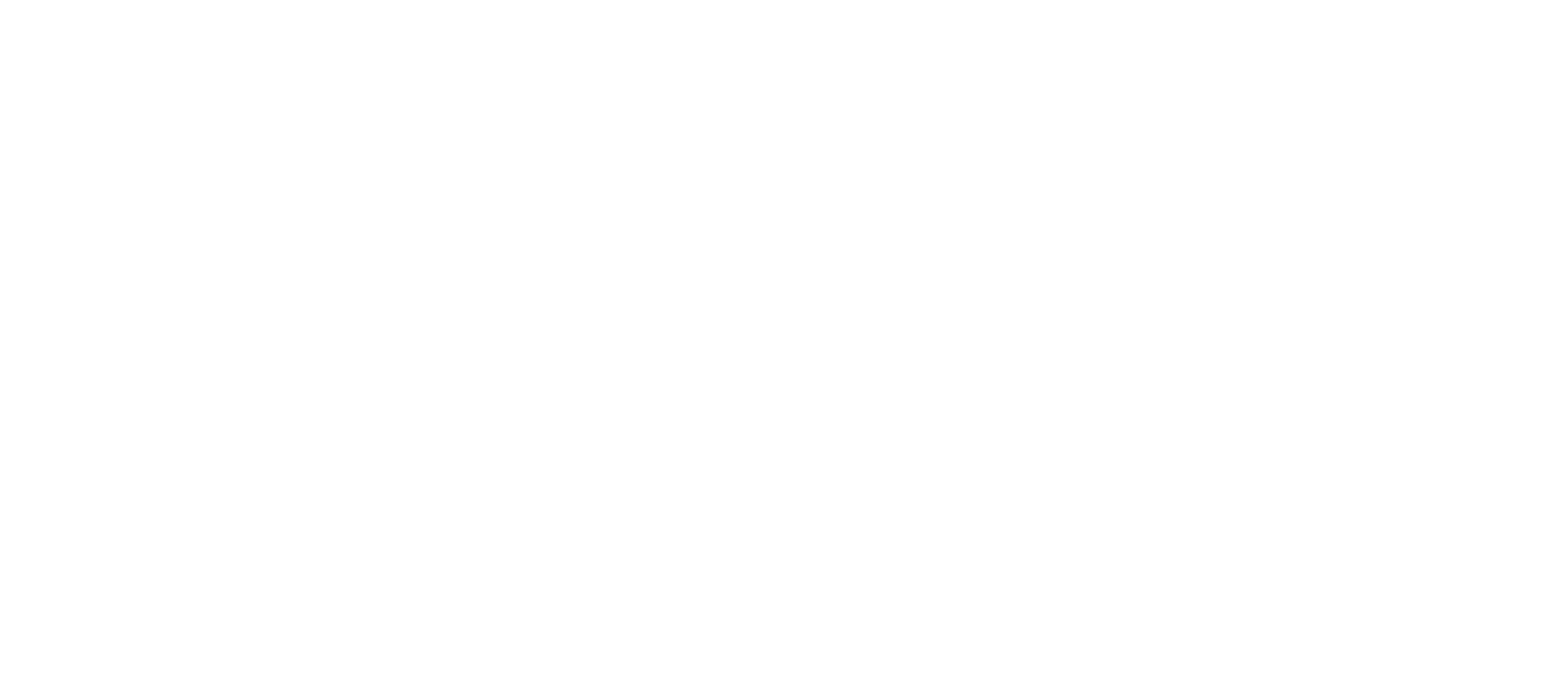 Alaska Wedding Videographer